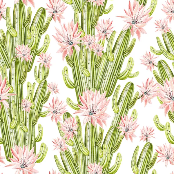 Akvarell mönster med cactus . — Stockfoto