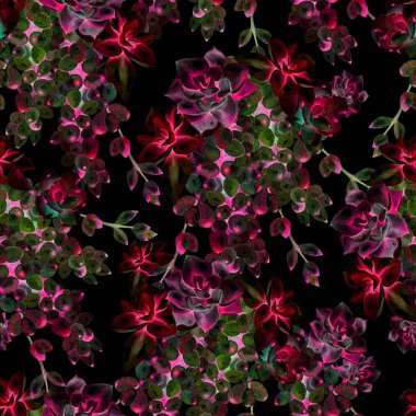 Suluboya succulents desenle. 