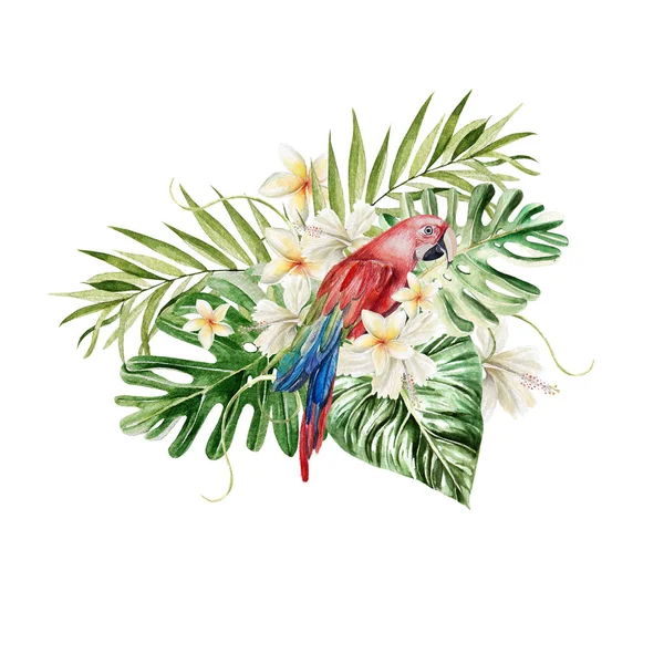 Een prachtige aquarel boeket met een papegaai en bladeren van een palmboom, bloemen. — Stockfoto