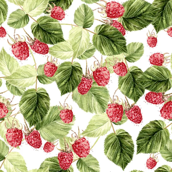 Beautiful Watercolor Raspberry Seamless Pattern. — Stock Photo, Image