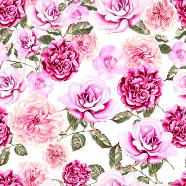 Çiçek gül ve Şakayık güzel suluboya desen. 