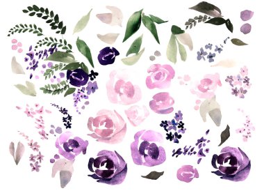 Güzel suluboya gül, Şakayık çiçekleri ve yaprakları ile ayarla. 