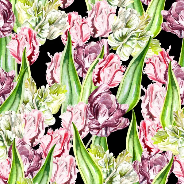 Piękny wzór różowy i fioletowy tulipanów. — Zdjęcie stockowe