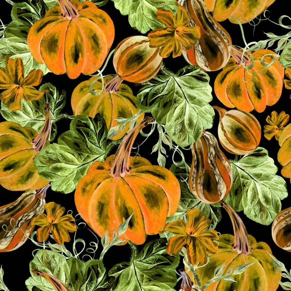 Bright watercolor seamless pattern with pumpkin vegetables and flowers. — Stock Photo, Image