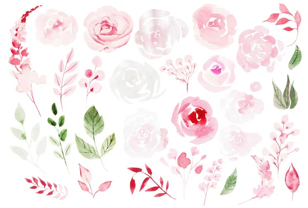 Set acquerello con rose diverse . — Foto Stock