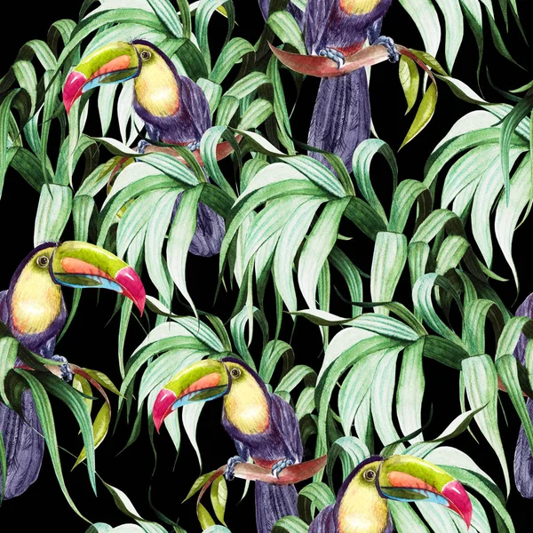Krásný akvarel bezešvný vzor s tropickými listy a pták tukan. — Stock fotografie