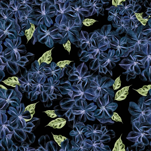 Aquarell nahtloses Muster mit Blüten von plumbago. — Stockfoto