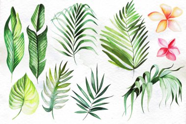 Tropik yapraklar ve çiçeklerle suluboya..