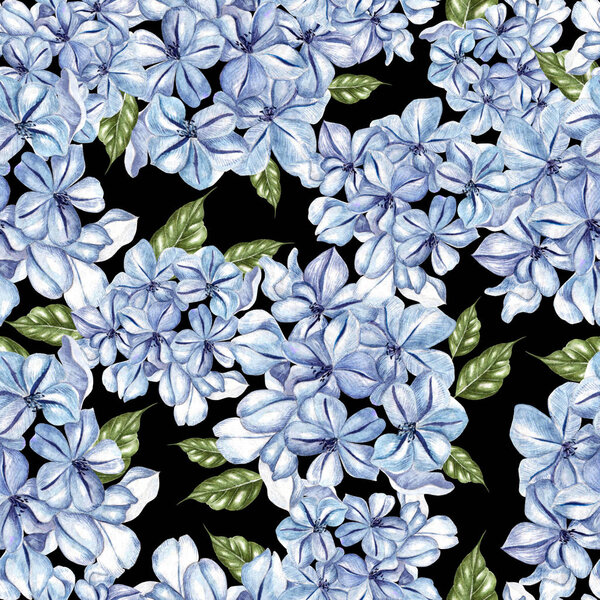 Watercolor seamless pattern with flowers of plumbago.