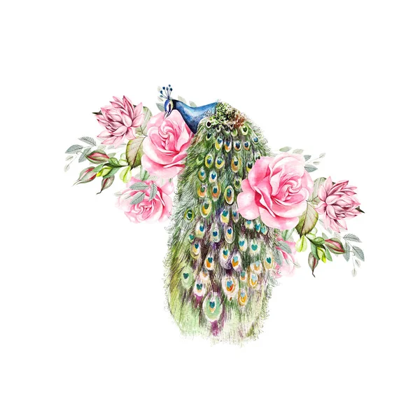 Watercolor colorful card with peony, roses, succulent flowers and peacock bird. — Stock Photo, Image