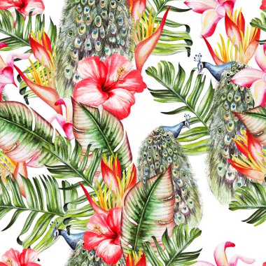 Beautiful watercolor seamless pattern with tropical leaves and peacock, hibiscus flowers and strelitzia. 