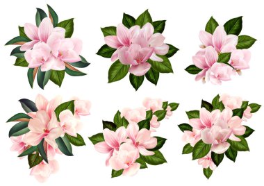 Manolya çiçekli güzel düğün buketleri. 