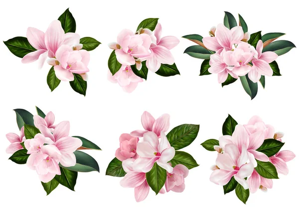 Prachtige bruiloft Boeket met magnolia bloemen. — Stockfoto