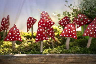 sonbahar dekorasyon, sinek agarics veya metal moss bir halı üzerinde sinek amanita