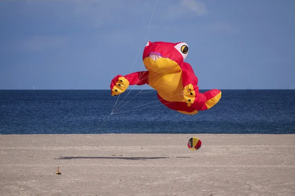 Aquilone rana che vola nel vento sulla spiaggia sul Mar Baltico, aquilone festi — Foto Stock