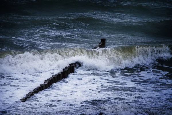 Groynes、嵐の海の波の防波堤として木の杭の行 — ストック写真
