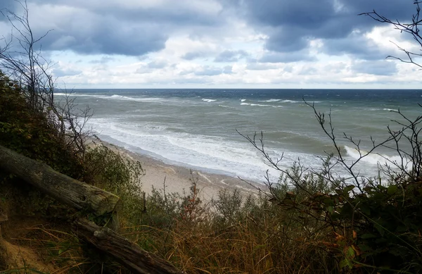 Vista al mar sobre hierbas y arbustos en otoño en la costa báltica —  Fotos de Stock