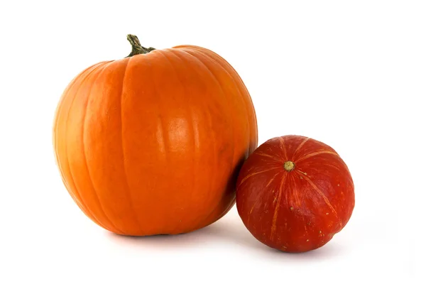 Dos calabazas, anaranjadas y rojas para Halloween o Acción de Gracias aisladas sobre un fondo blanco — Foto de Stock