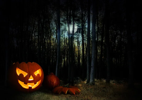 Calabaza brillante en un oscuro bosque místico de halloween bajo la luna —  Fotos de Stock