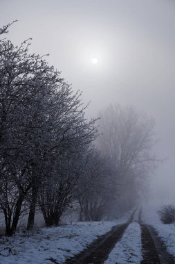 Mistik kış yol boyunca kasvetli çalılar ve ağaçlar bir karlı sisli manzara, gri gökyüzü ile küçük bir ay içinde 