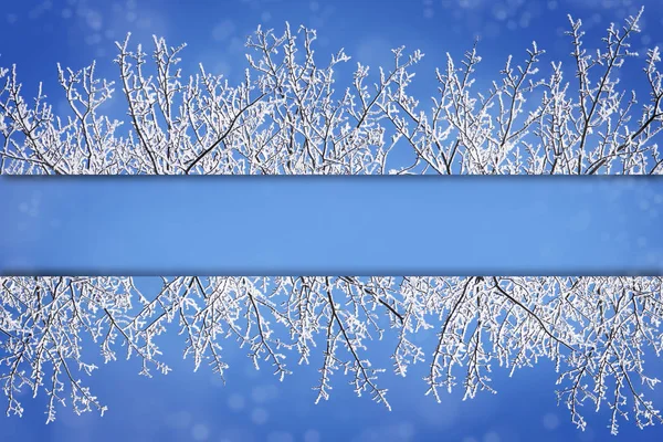 Ramkantlinjer från snö täckta grenar mot en blå snöiga bakgrund för jul och nyår — Stockfoto