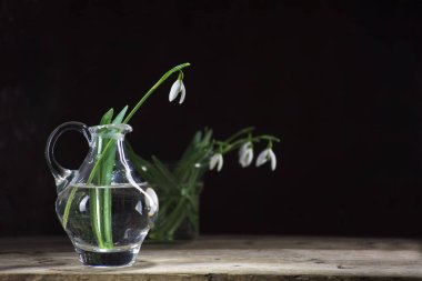 kardelen karanlık bir arka plan, yeni yıl tebrik kartı rustik ahşap üzerine cam vazo içinde