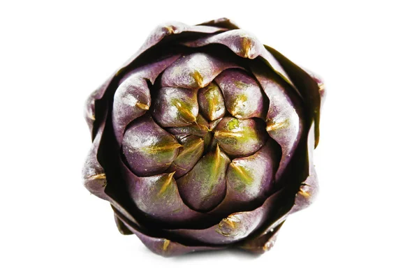 Purple artichoke seen from the front isolated on a white background — Stock Photo, Image