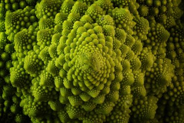 Romanesco brokoli veya Roma karnabahar, yukarıdan yakın çekim, detay doku