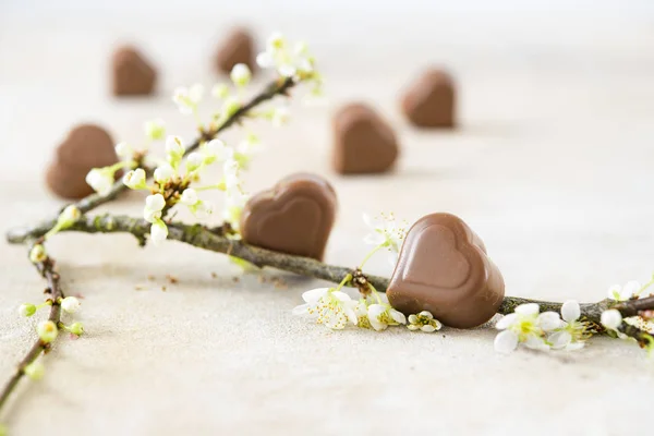 Chokladpraliner i hjärta form och en blossom grenen för födelsedag, alla hjärtans, fars eller mors dag — Stockfoto