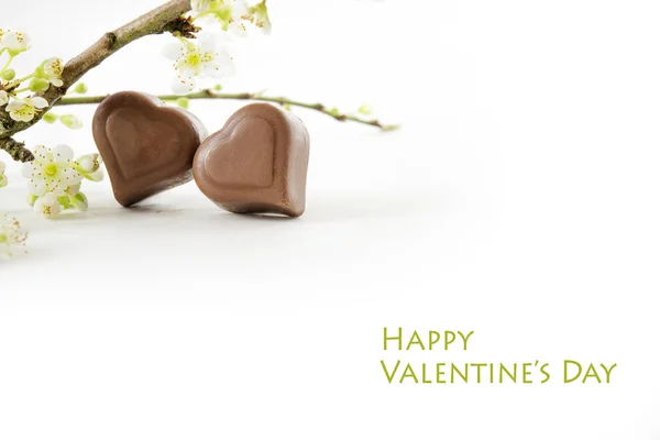 Two chocolate hearts and flowering branches isolated on white, text Happy Valentine's Day — Stock Photo, Image