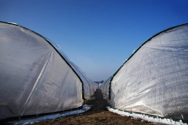 查看之间从聚乙烯塑料在农业领域的两个温室隧道。 — 图库照片