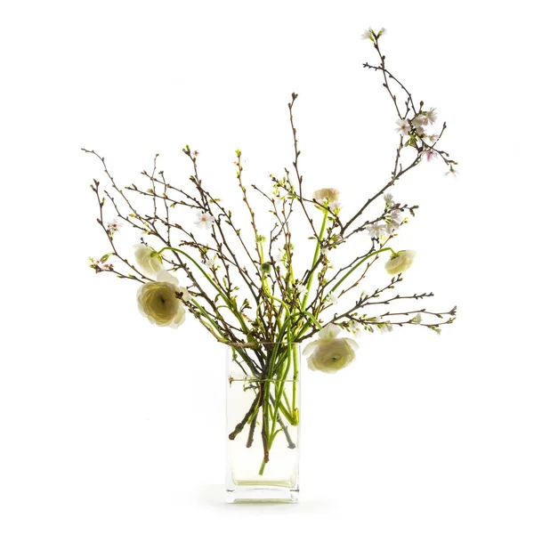 Άνοιξη λουλούδι μπουκέτο με λευκά ranunkeln και τους ανθίζοντας κεράσι κλάδους σε γυάλινο βάζο, Πασχαλινή Διακόσμηση απομονωθεί σε λευκό — Φωτογραφία Αρχείου