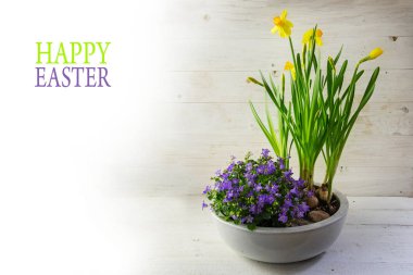 bahar çiçekleri, nergis ve beyaz Wood, metin mutlu Paskalya seramik bir kasede bluebells saksı