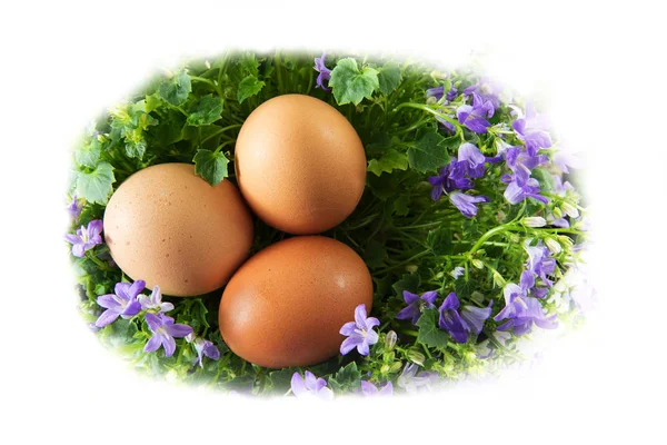 Trzy jaja wielkanocne w kształcie jaja zagnieździć bluebell kwiaty na białym tle — Zdjęcie stockowe