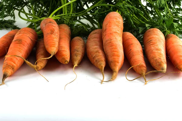 Rij van wortelen met bladeren als frame geïsoleerd op witte achtergrond — Stockfoto