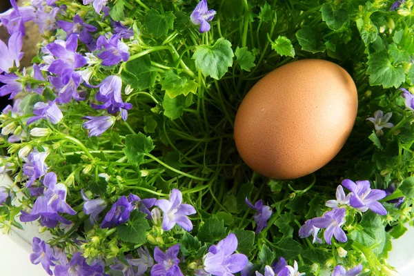 Huevo en un nido de flores de Bluebell con hojas verdes como tarjeta de felicitación de Pascua — Foto de Stock