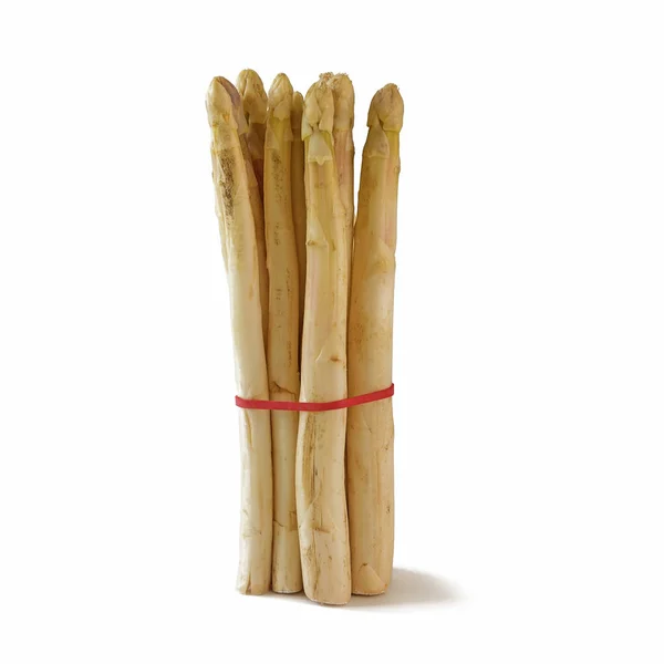 Bunch of white asparagus, fresh and organic standing isolated on white — Stock Photo, Image