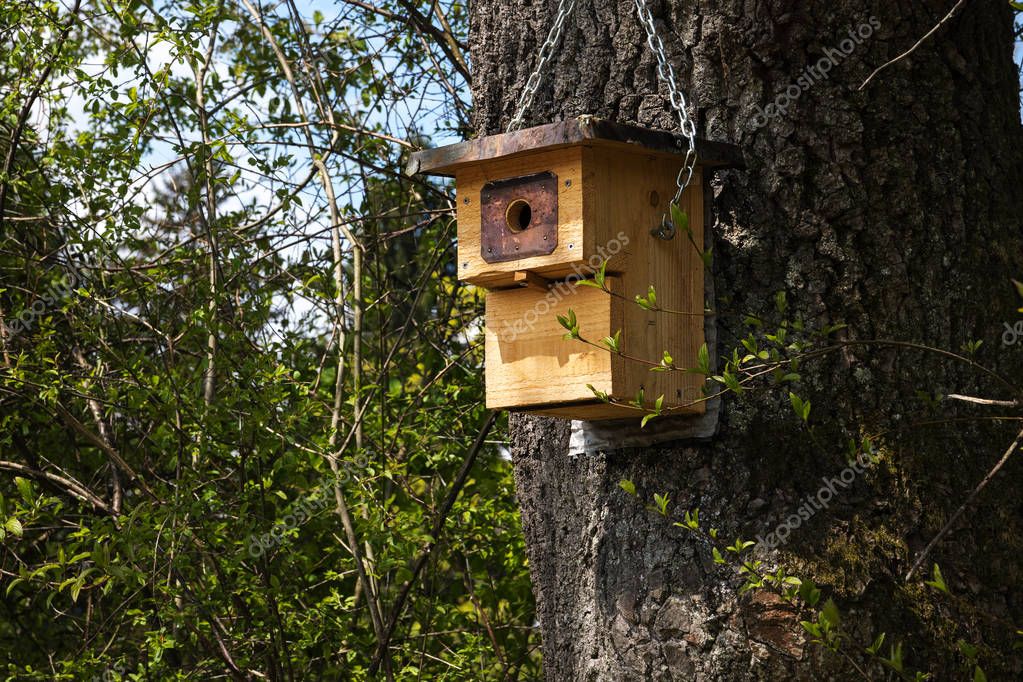 Aus Holz Nistkasten auf einen Baum, selbstgebauten Vogel