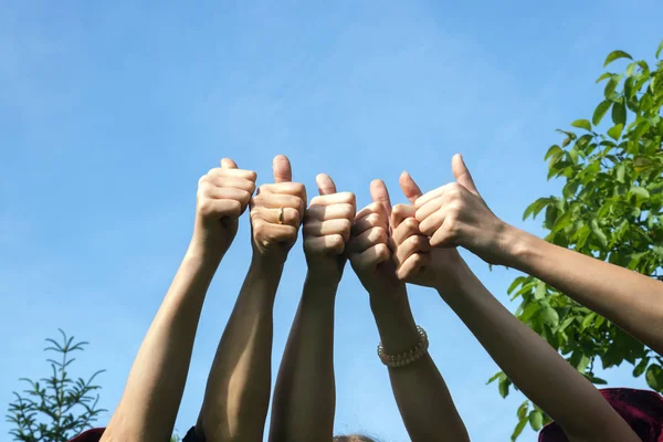 Polegares para cima, amigos levantar as mãos e mostrar os polegares como um gesto positivo em um dia ensolarado contra o céu azul com espaço de cópia — Fotografia de Stock