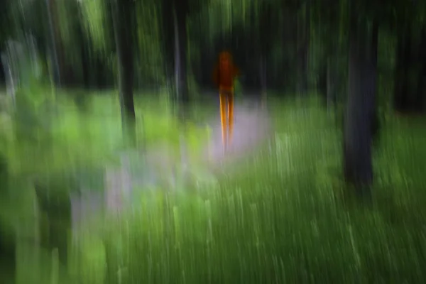 Kırmızı turuncu giysileri yeşil orman, kişi ve arka plan odağını, kopya alanı tek başına çalışan kadın koşucu — Stok fotoğraf