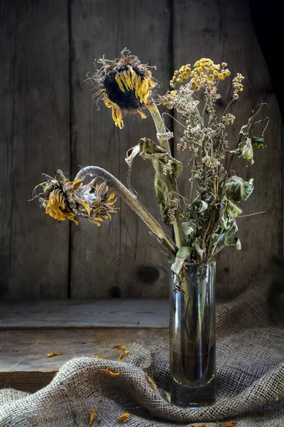 枯萎的花束金葵花与艾菊在仿古木侧记 — 图库照片