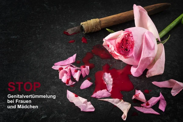 Flor de rosa cortada, sangre y cuchillo sobre un fondo de piedra oscura con texto alemán Stop Genitalverstuemmelung bei Frauen und Maedchen, que significa Detener la mutilación genital femenina — Foto de Stock