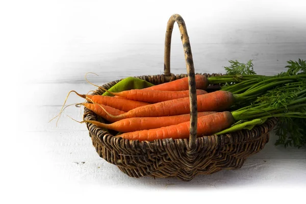 Um bando de cenouras orgânicas com folhas verdes numa cesta de madeira pintada de branco, recém-colhida para o mercado — Fotografia de Stock
