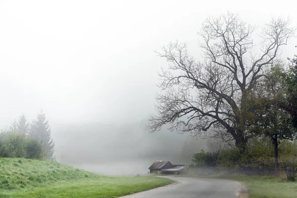 Camino curvilíneo en la niebla de otoño con una vieja casa en mal estado bajo un árbol desnudo, paisaje rural gris en el país, tiempo de niebla peligrosa para el tráfico, espacio de copia — Foto de Stock