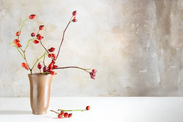 Rozenbottels takken in een steengoed vaas op een witte tafel voor een vintage muur, natuurlijke mooie herfst decoratie met kopie ruimte — Stockfoto