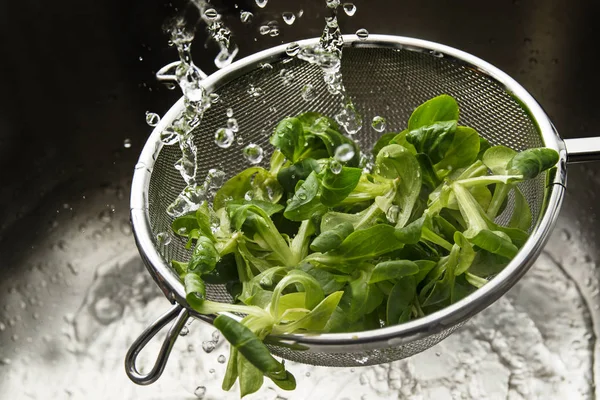 Metal cullender yıkama ve sağlıklı gıda hazırlama suyu, birçok damla arasında taze yeşil Mısır salata — Stok fotoğraf