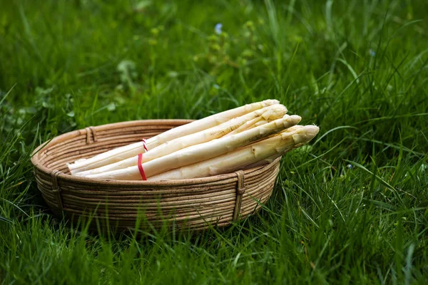 Verse witte asperges in een mandje buiten kopiëren in het gras, ruimte — Stockfoto