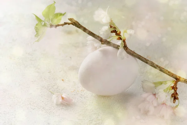 Uovo di Pasqua bianco e fiori di ciliegio su uno sfondo rosa verde pastello con spazio copia — Foto Stock