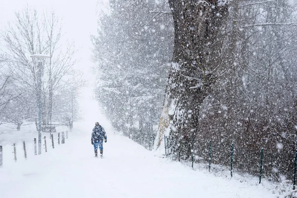 Man walks alone through the thick snow on a winter country road, copy space — Stock Photo, Image