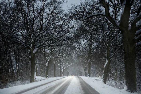 Carro único está dirigindo com cuidado na neve em uma estrada rural alinhada por árvores nuas escuras, conceito de tráfego de inverno perigoso, espaço de cópia — Fotografia de Stock